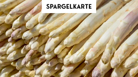 Spargelkarte Bündel weißer Spargel mit Schrift Spargelkarte